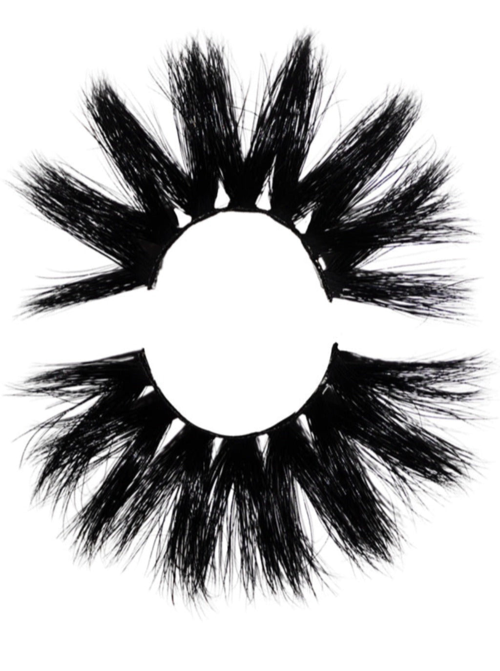 Spotlight Lashes